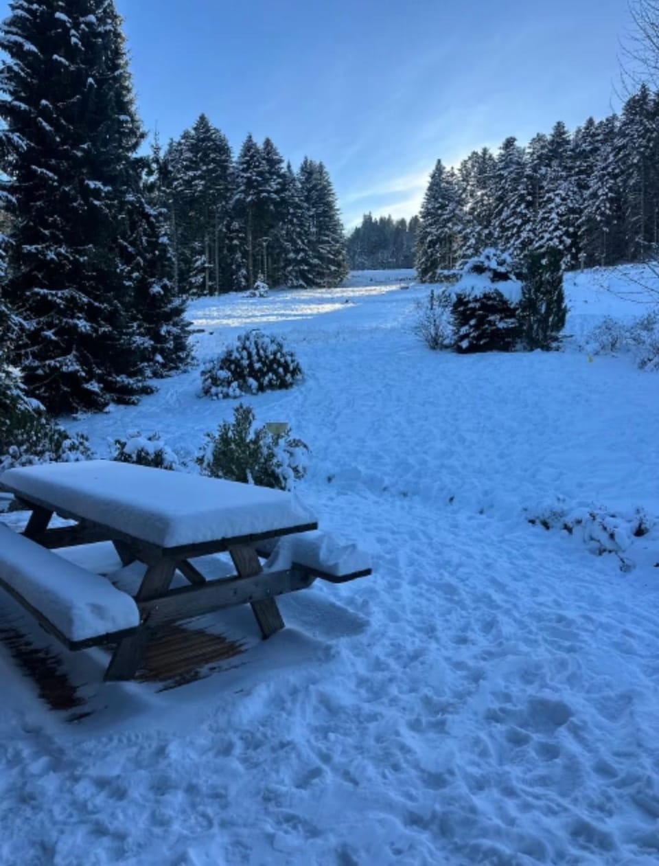 Le Vénérable, 4 étoiles, vue imprenable au coeur des Vosges Chalet in Vosges