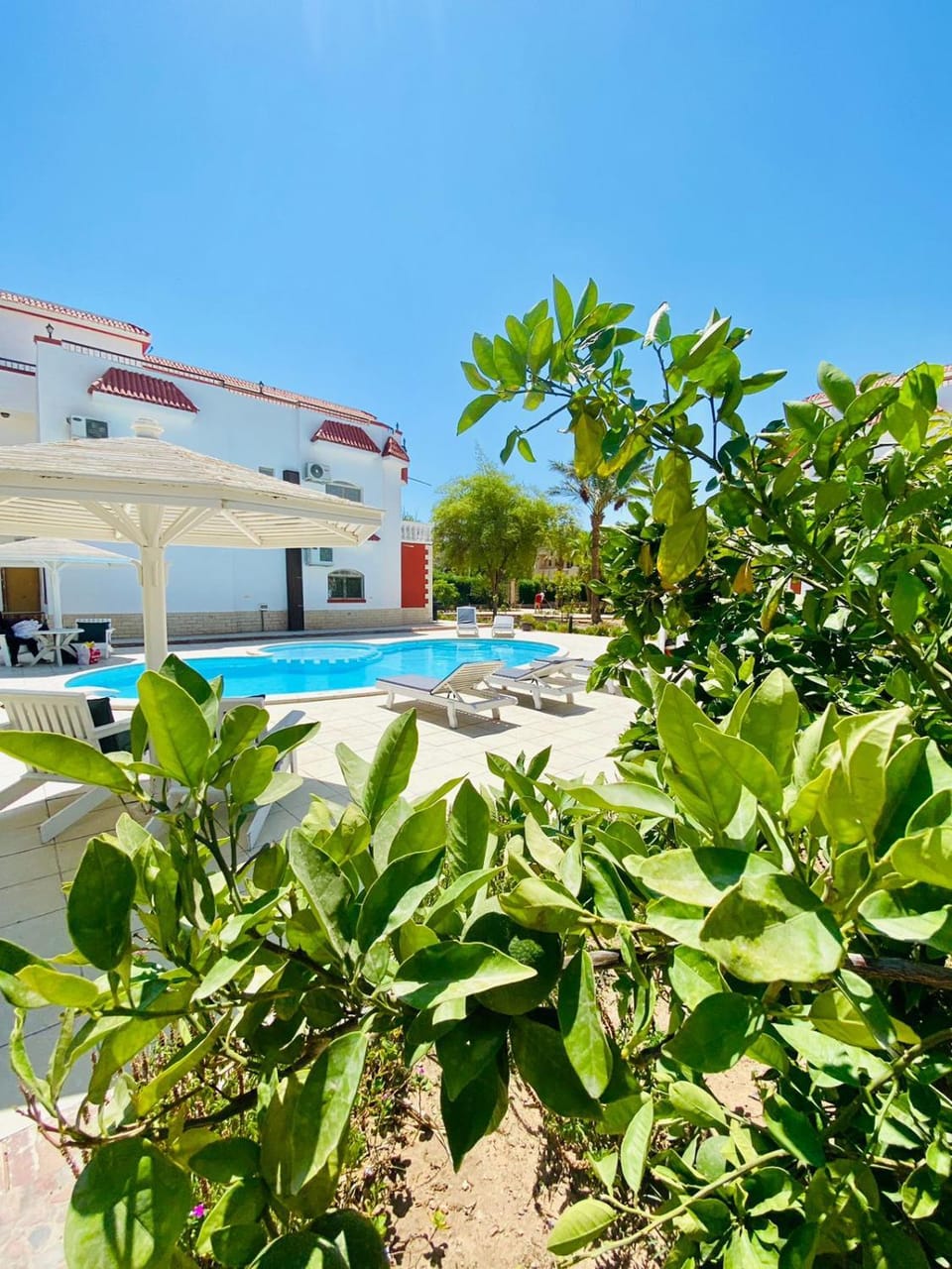 Property building, Garden, Swimming pool