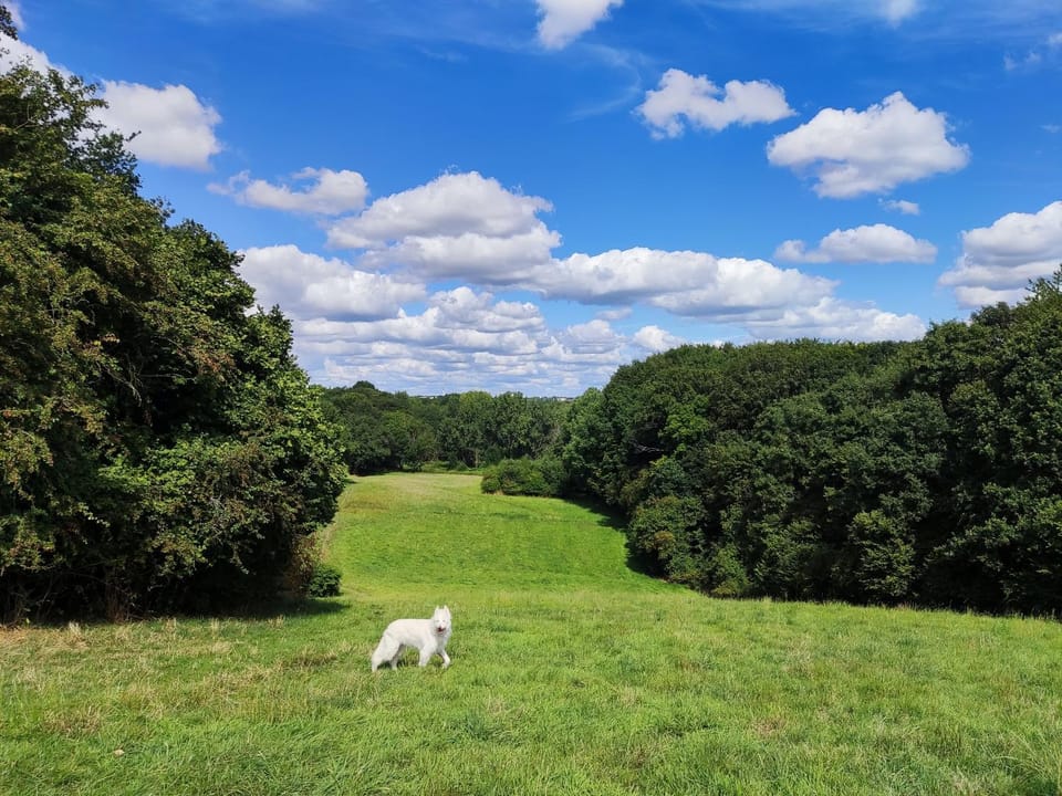 Natural landscape