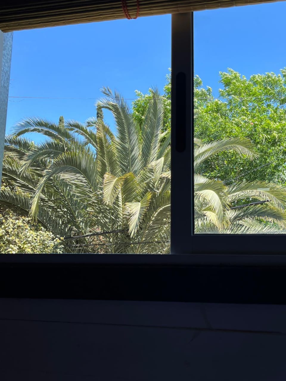 Spring, Day, Natural landscape, Garden view