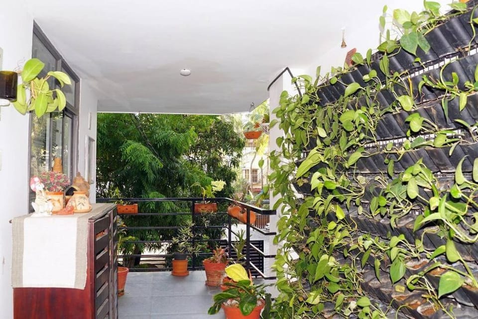 Balcony/Terrace, Garden view