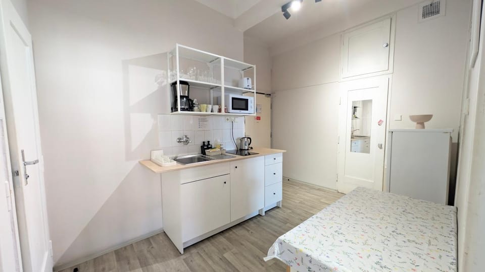 Flat in Zizkov -403- Apartment in Prague