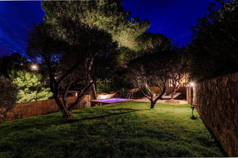 Night, Garden, Garden view