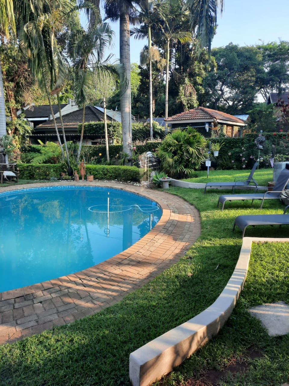 Garden, Swimming pool