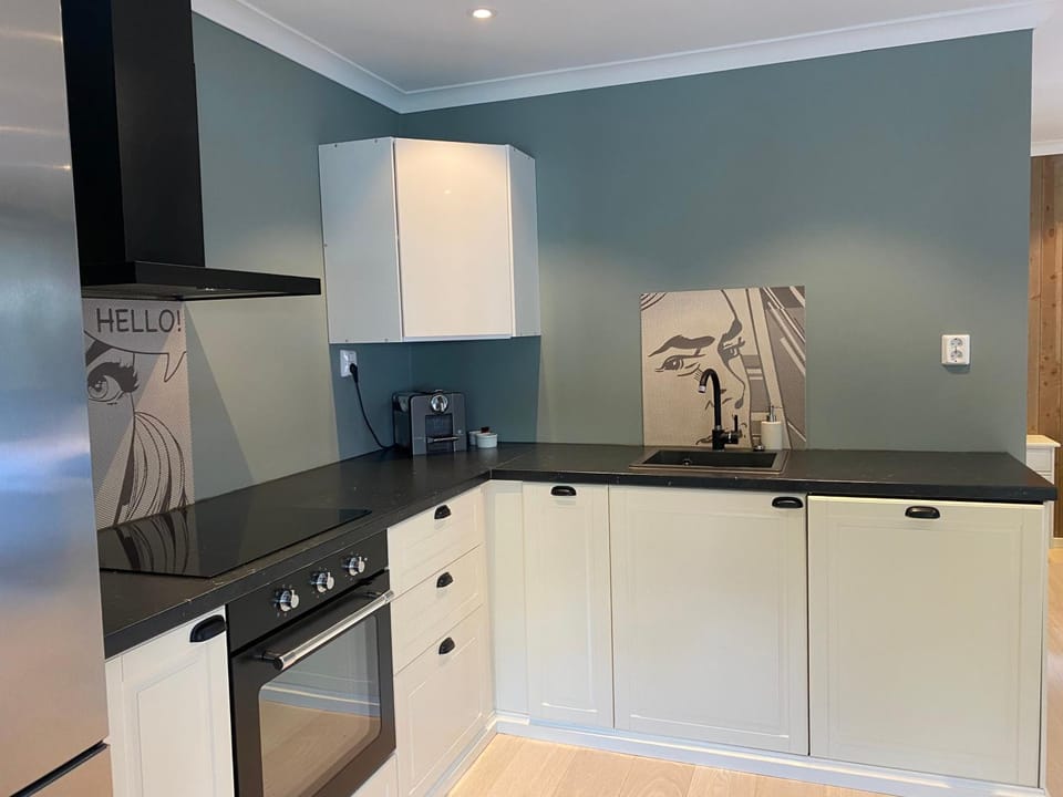 Comfortable Apartment near city center - Parking available Apartment in Viken, Norway