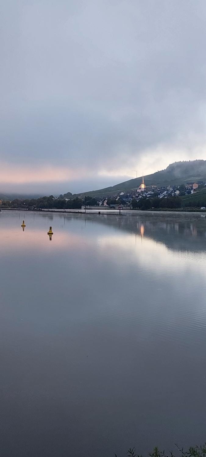 Ferienwohnung Wilk Apartment in Cochem-Zell