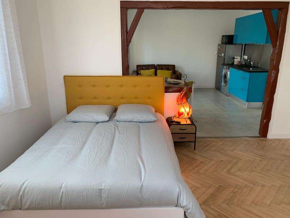 Room in Toulouse - T2 Toulouse Saint Martin du Touch Apartment in Toulouse