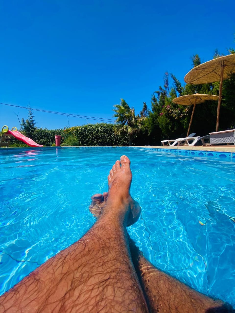 Natural landscape, Swimming pool, sunbed