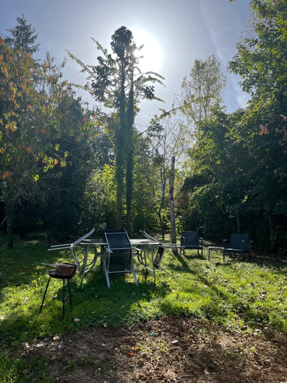 Garden view