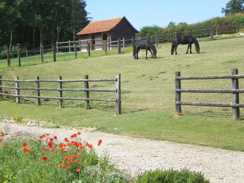Ferme des tilleuls Bed and Breakfast in Hauts-de-France