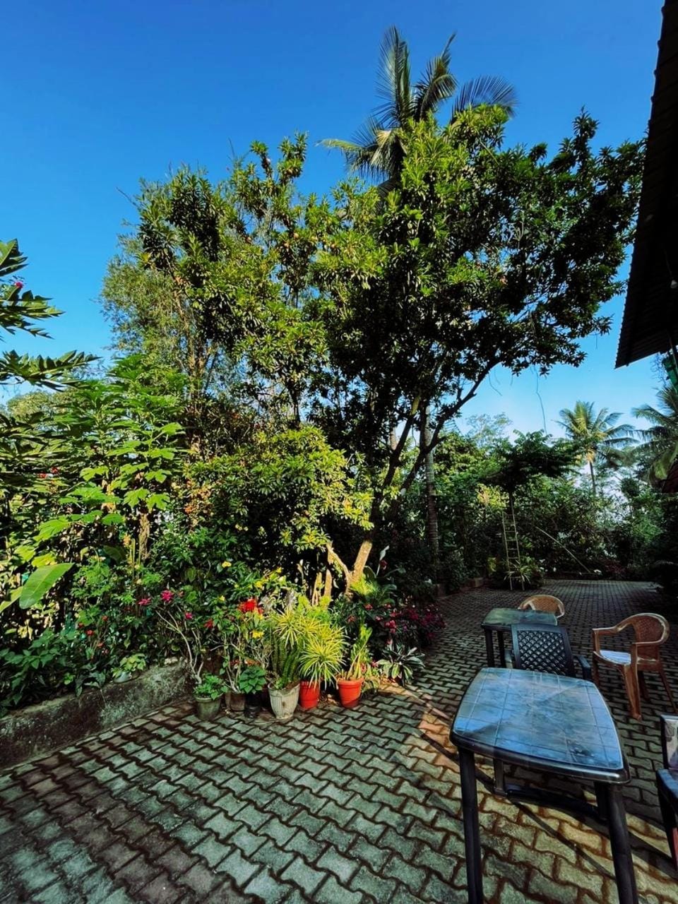 Choorimotte Homestay Vacation rental in Karnataka