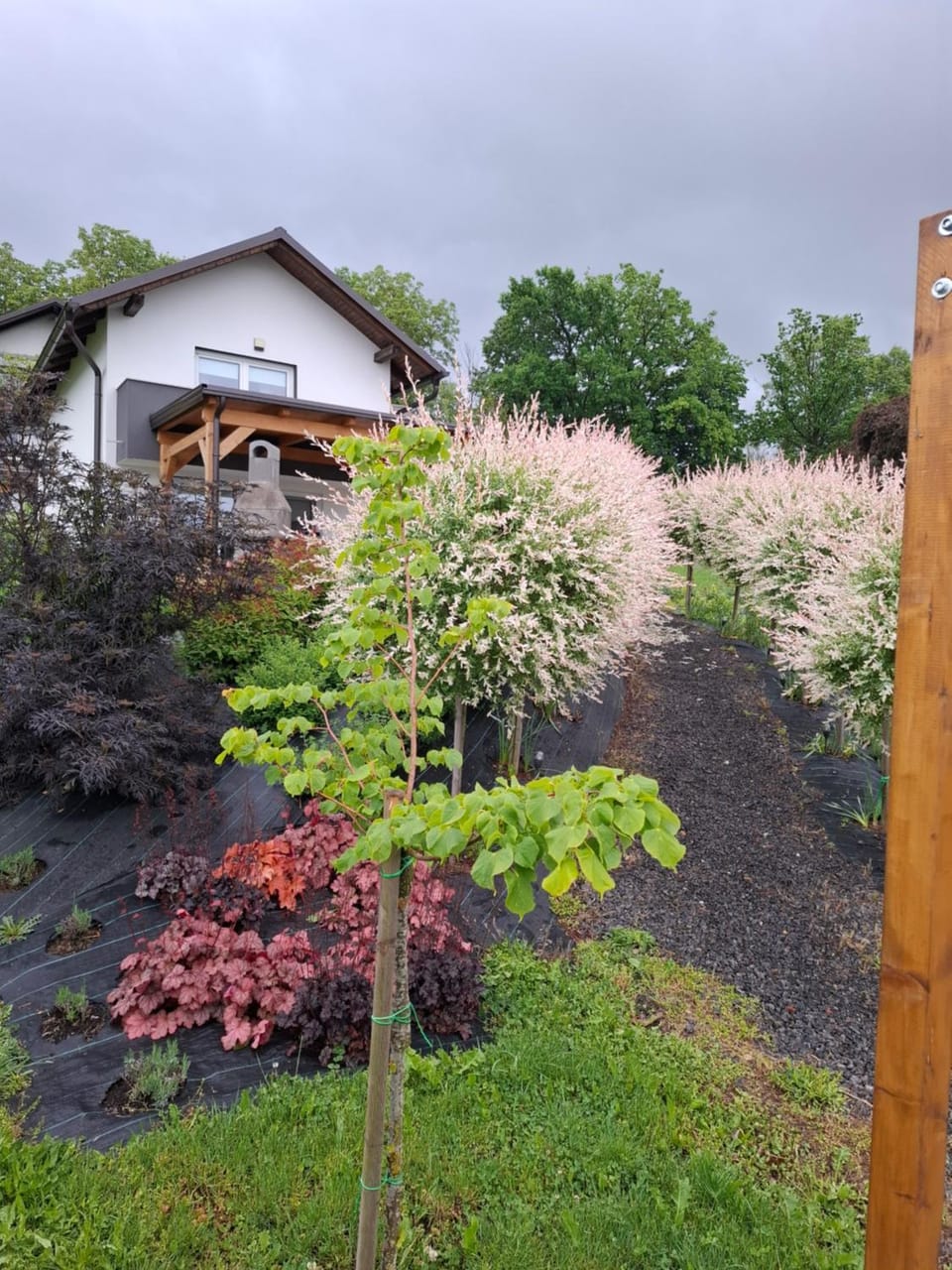 Apartma Ob jezeru Apartment in Slovenia