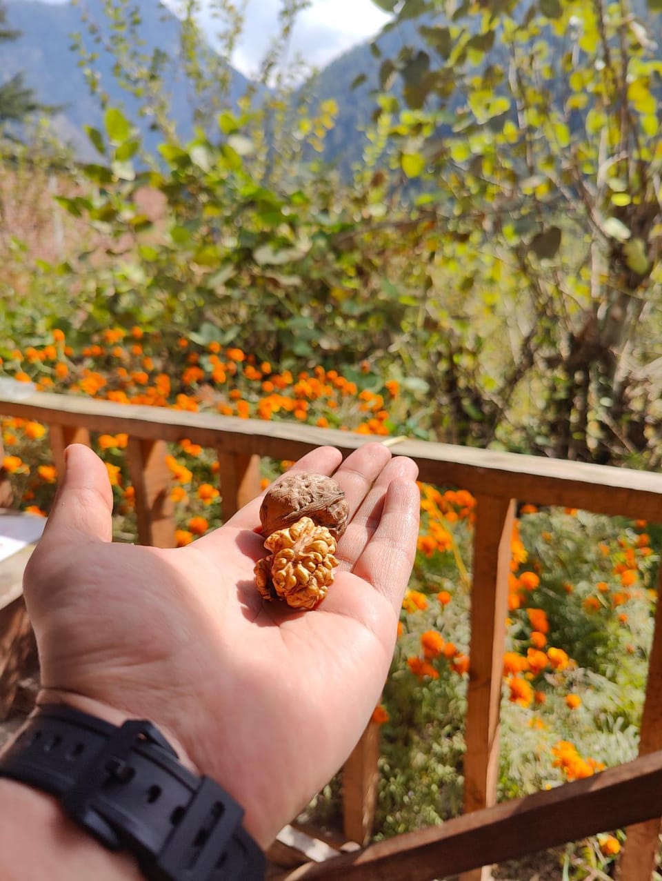 Renuka homestay and cafe Bed and Breakfast in Himachal Pradesh