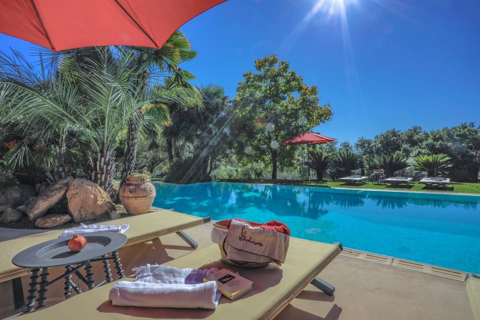 Day, Natural landscape, Garden, Garden view, Pool view, Swimming pool, sunbed