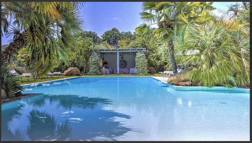 Day, Natural landscape, Garden, Garden view, Pool view, Swimming pool
