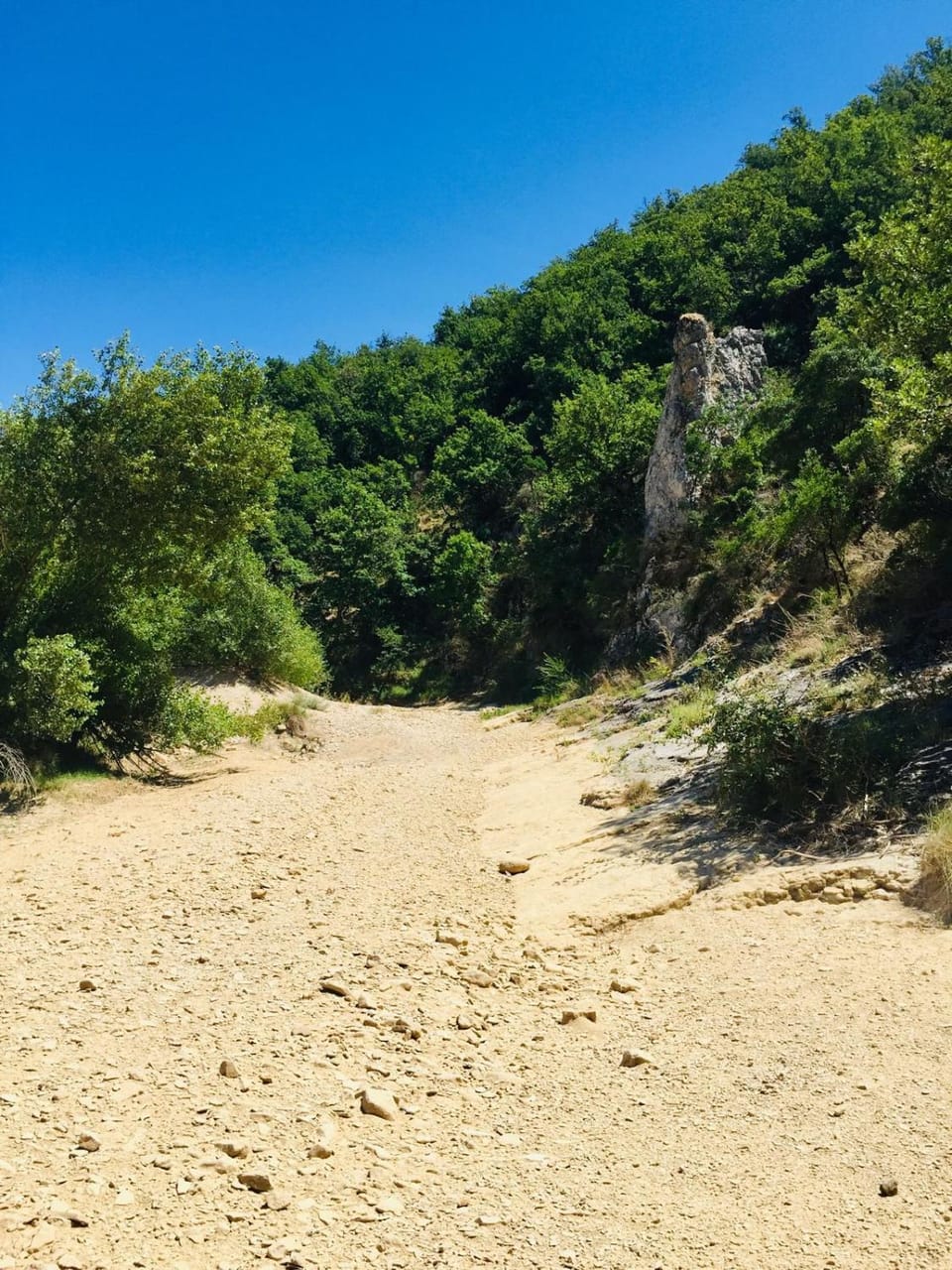 Summer, River view