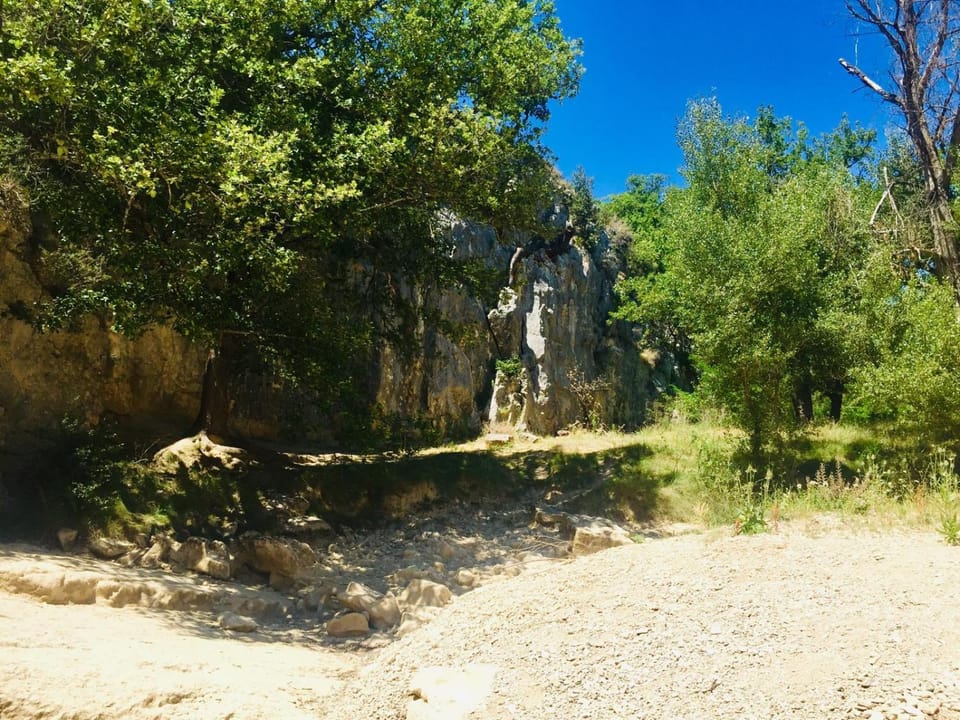 Summer, River view