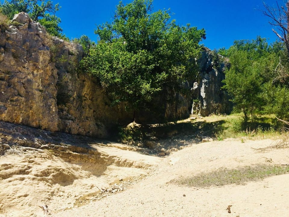 Summer, River view