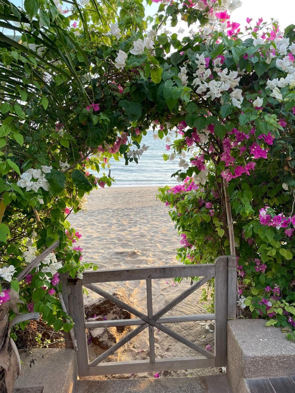 Day, Natural landscape, Garden, Balcony/Terrace, Garden view, Sea view, Sunset