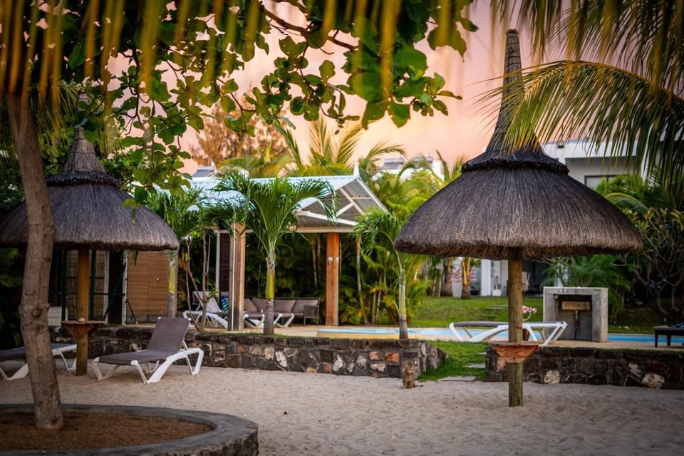 Day, Garden, Garden view, Pool view, Swimming pool, sunbed