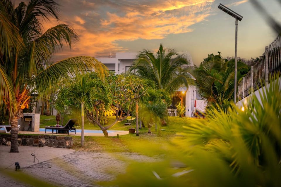 Day, Natural landscape, Garden, Garden view