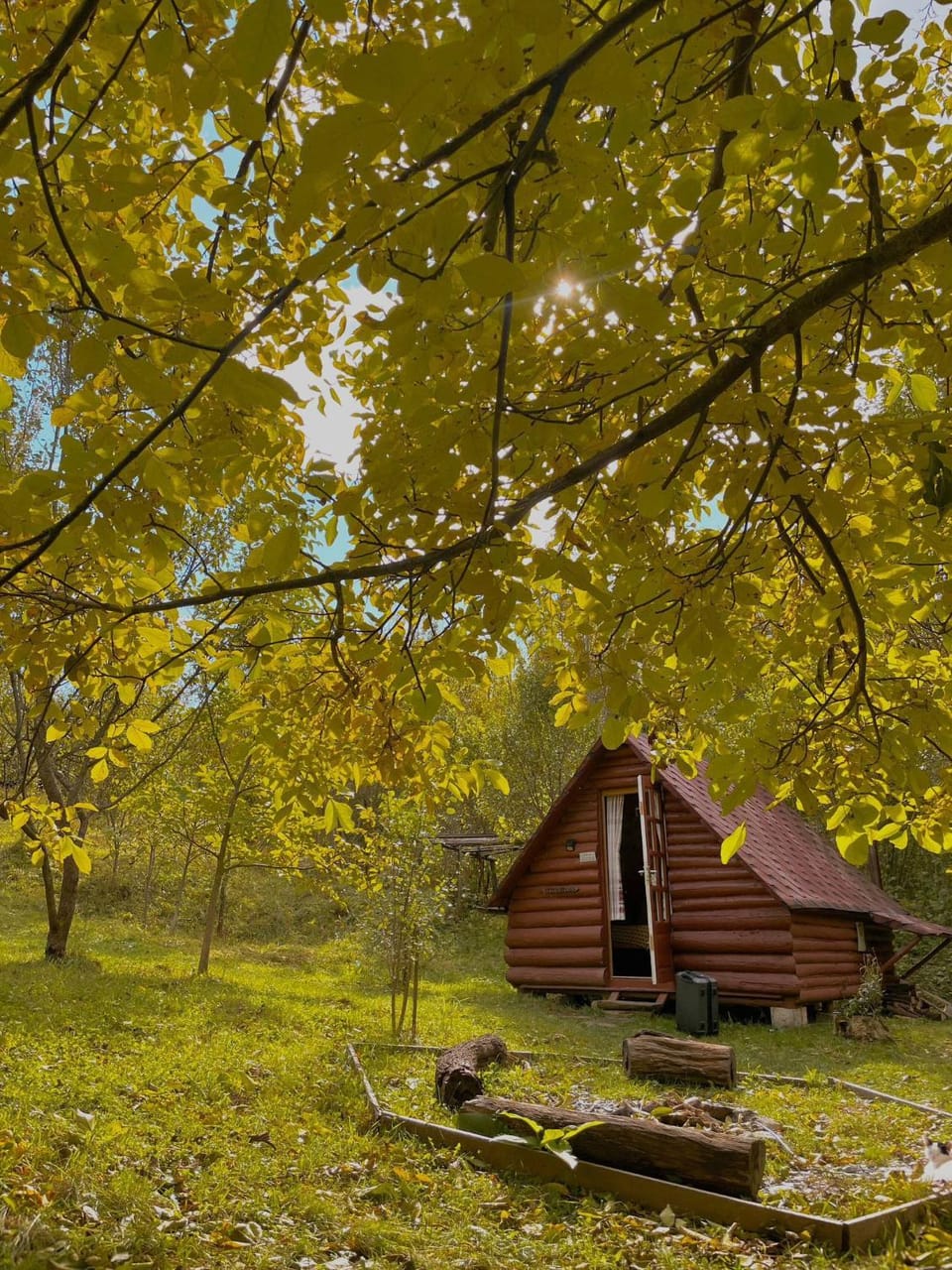 Friendship Cabin (Friendship Land) Cabin in Romania