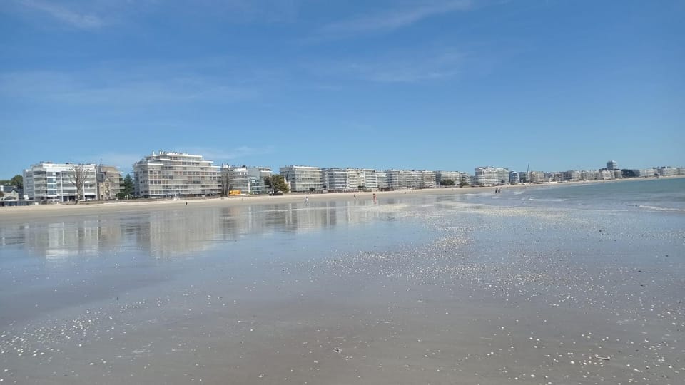 Day, Natural landscape, Beach