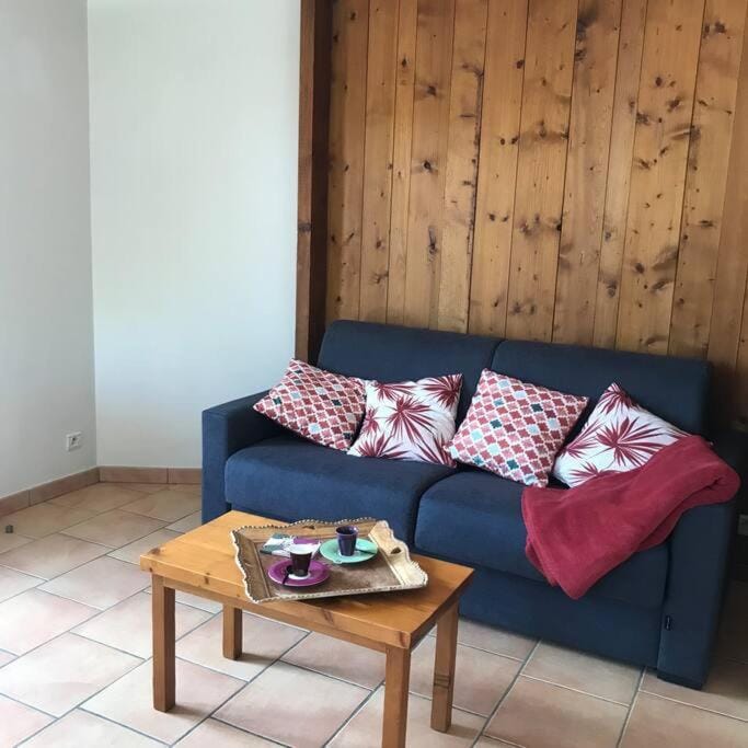 L'EDELWEISS Apartment in Haute-Savoie