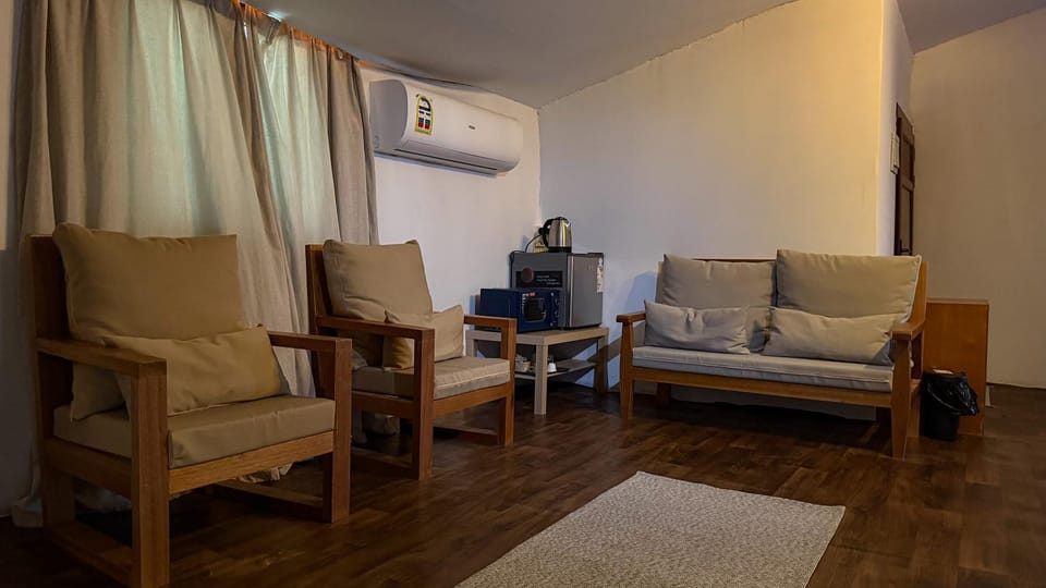 Seating area, fireplace, air conditioner