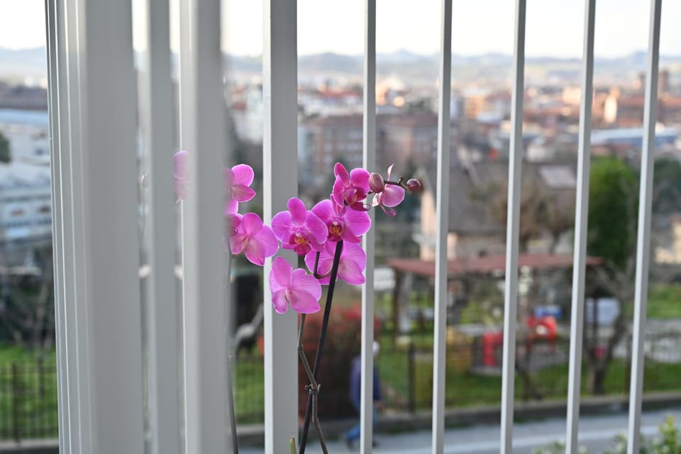 Day, View (from property/room), Balcony/Terrace
