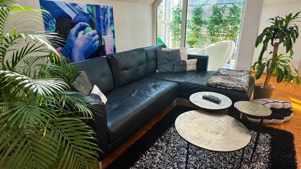 Modern luxury duplex in Düsseldorf-Benrath Apartment in Dusseldorf