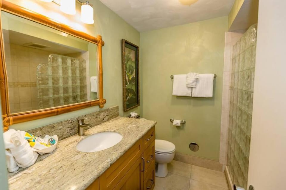 Kaleialoha 413- Remodeled Top floor and direct oceanfront views Apartment in Napili-Honokowai