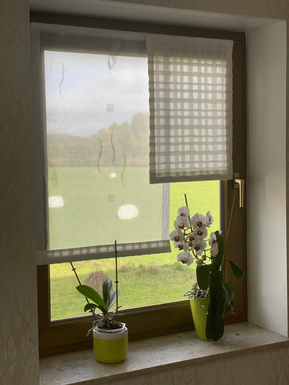 Natural landscape, View (from property/room)