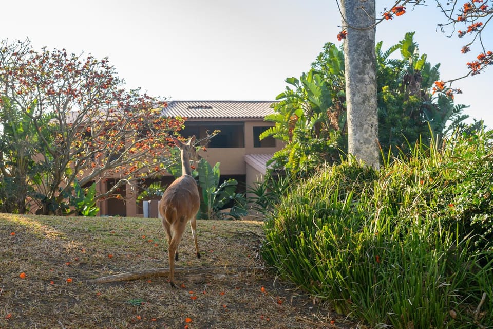 San Lameer Villa's House in KwaZulu-Natal