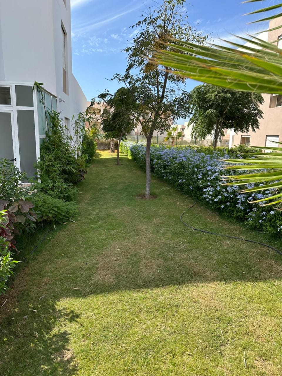 Property building, Spring, Day, Natural landscape, Garden