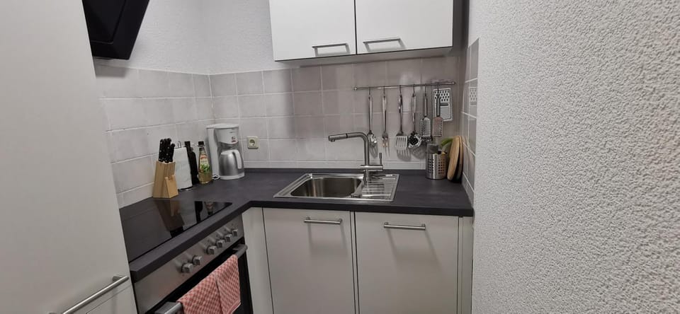 Kitchen or kitchenette, kitchen