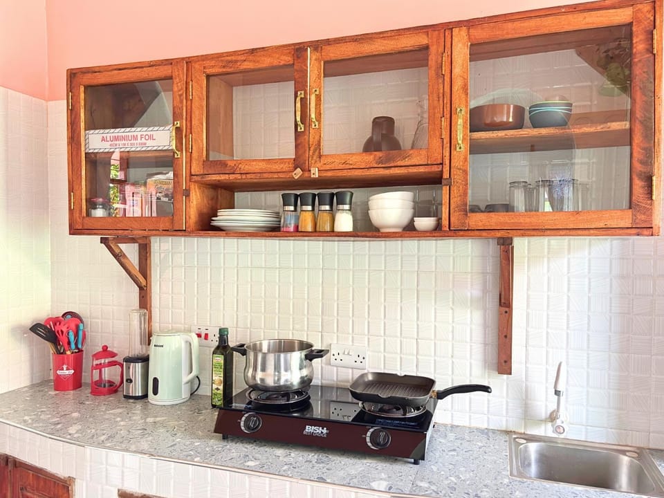 Kitchen or kitchenette, kitchen
