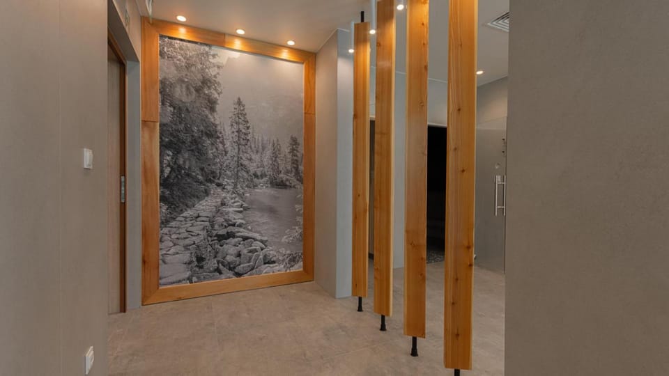 VacationClub - Apartamenty Zakopiańskie Apartament 352 Apartment in Zakopane