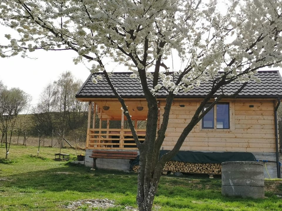 Property building, Spring, Day, Garden, Garden view