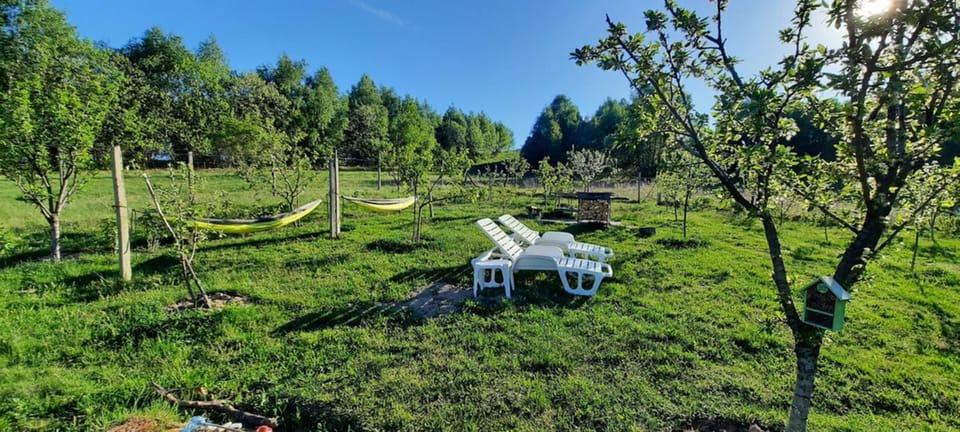 Spring, Day, Natural landscape, Garden, Garden view