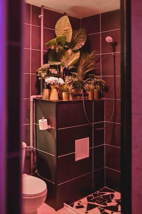 Le Lux Spa Apartment in Villeurbanne