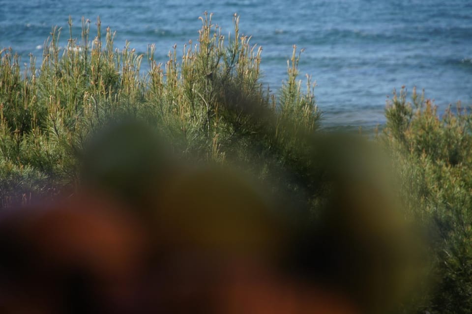 Sea view
