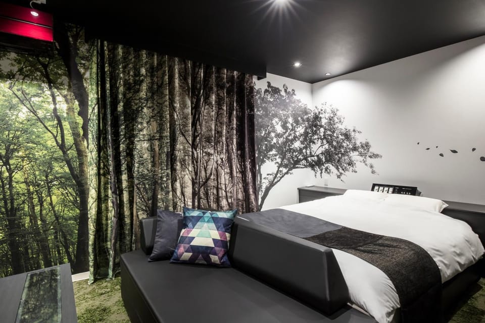 Bed, Photo of the whole room