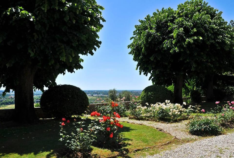 Alba - Villa Cenami - big POOL with view Apartment in Emilia-Romagna