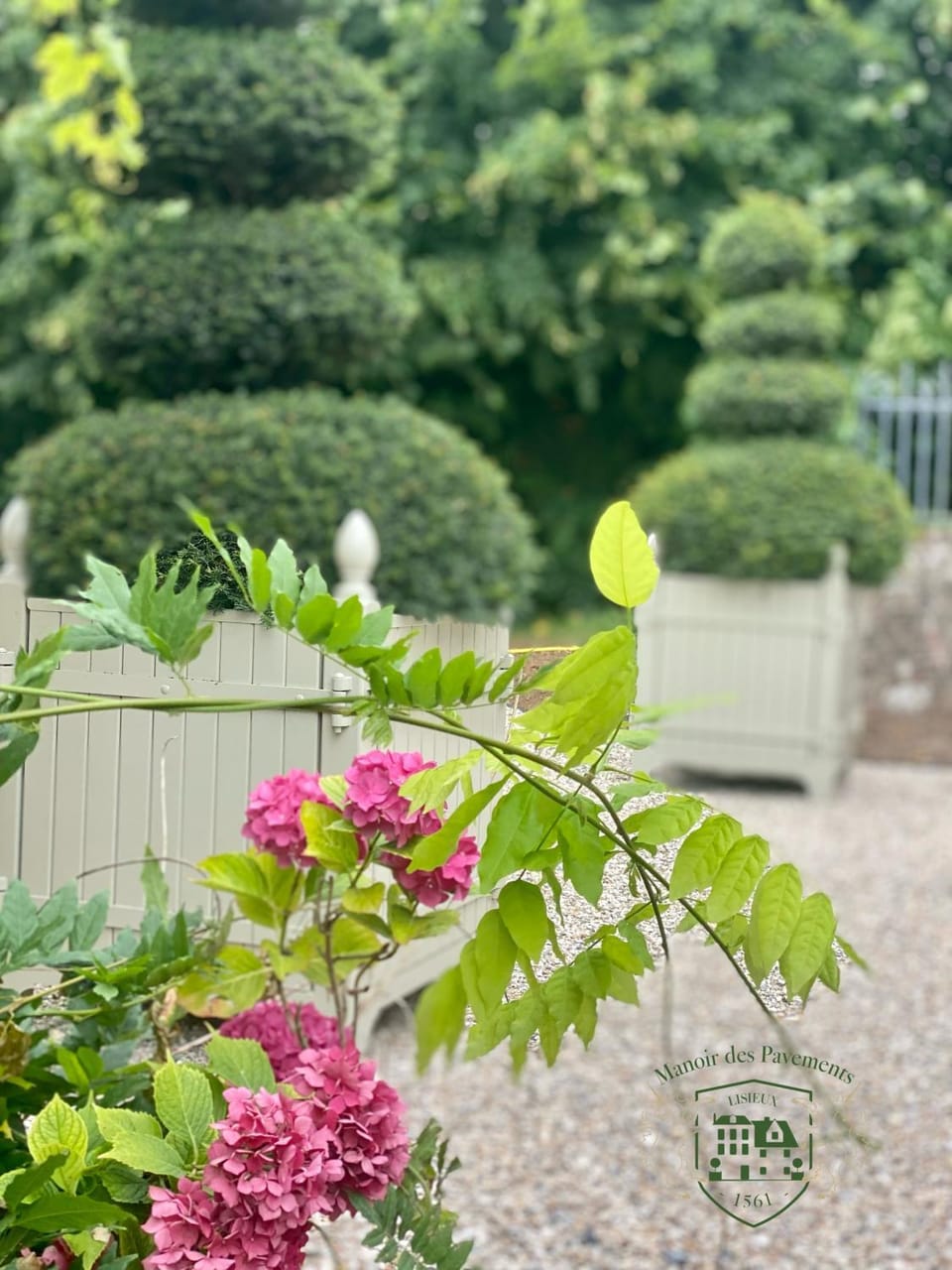 Garden, Balcony/Terrace, Inner courtyard view