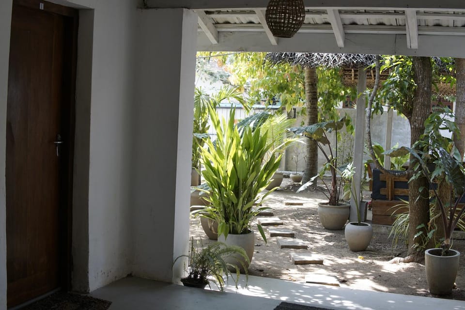 Garden view