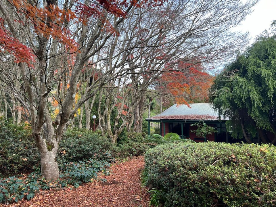 Garden view