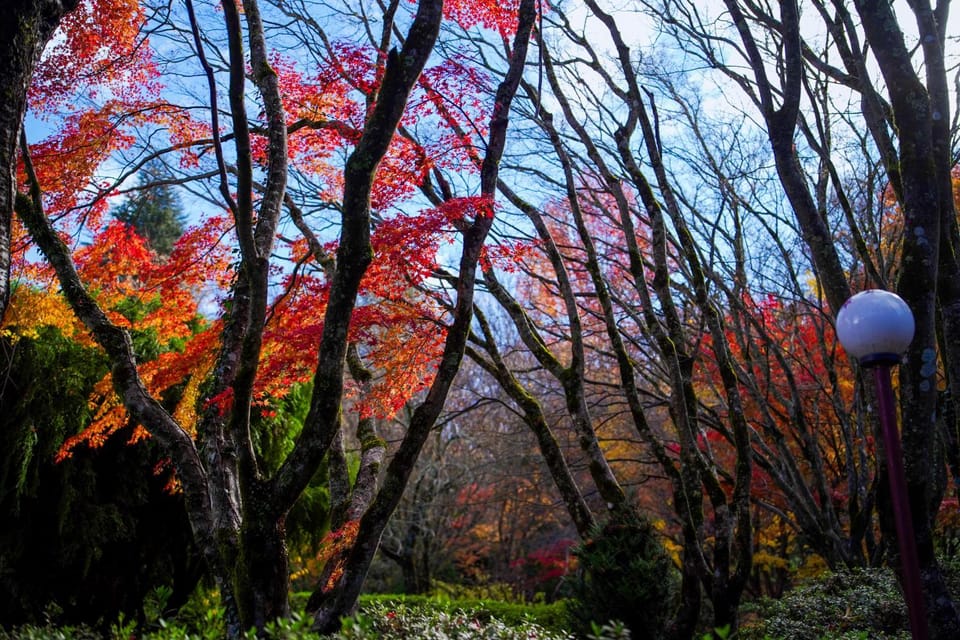 Autumn