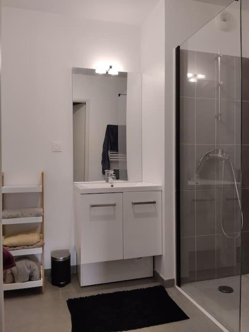 Appartement T3 gare st rock Apartment in Montpellier