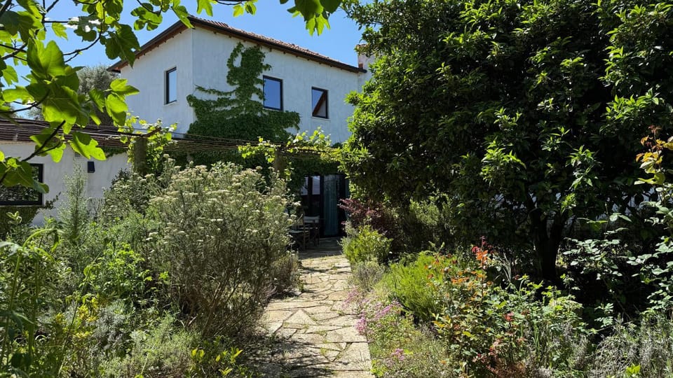 Property building, Garden